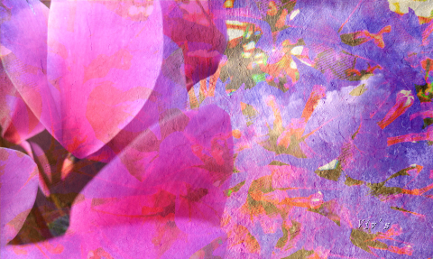 cyclamen-and-bougainvillea-texture-eight